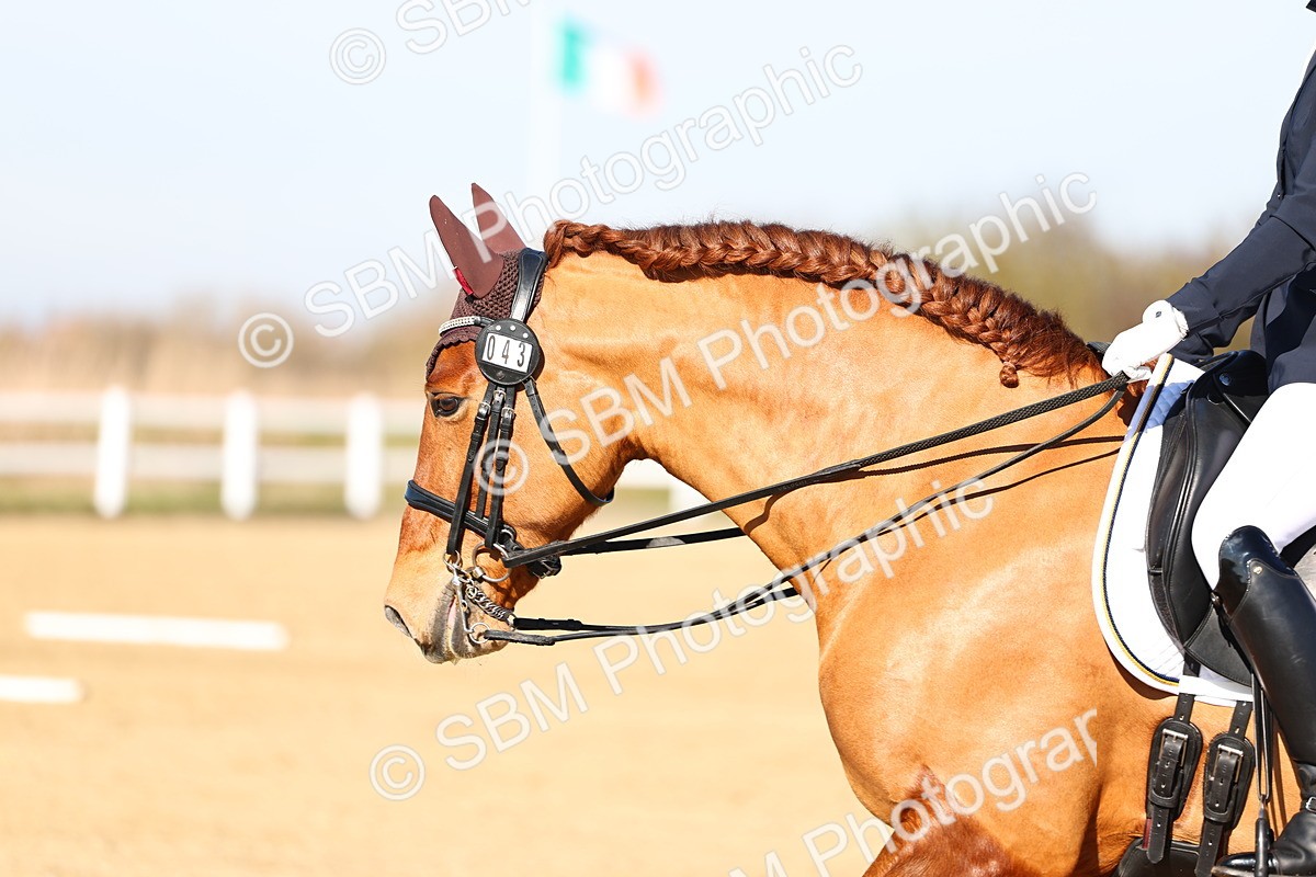 026A8517 - Class 2-6-5-4 - Paso Doble-Sevilla-Golega-Novato