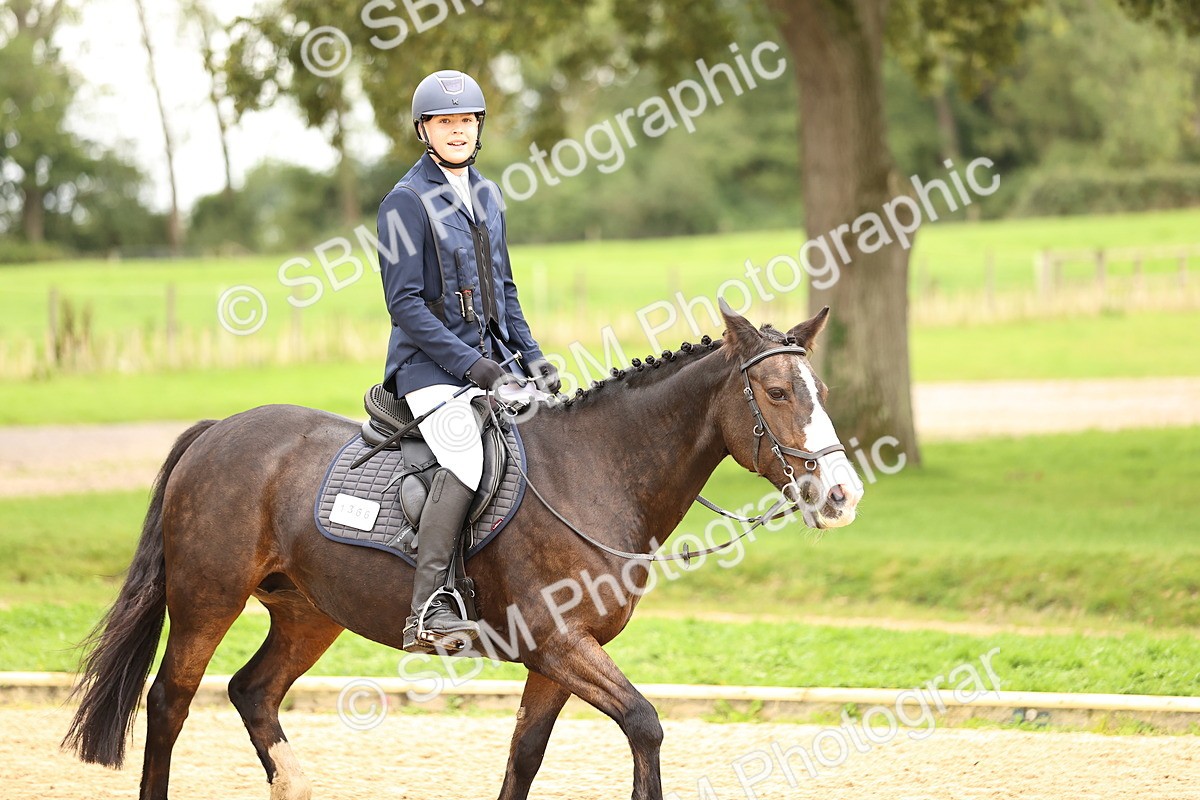 SBM_64804 - J17 - Junior Pony 80cm Championship