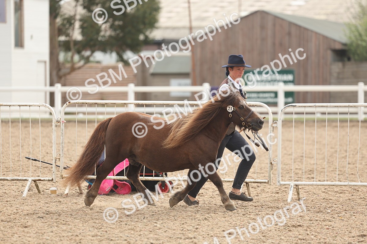 SBM_03169 - Class 16 - IH M&M Wildcard