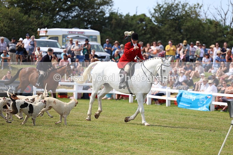 3E7A0149 - Parade of Hounds