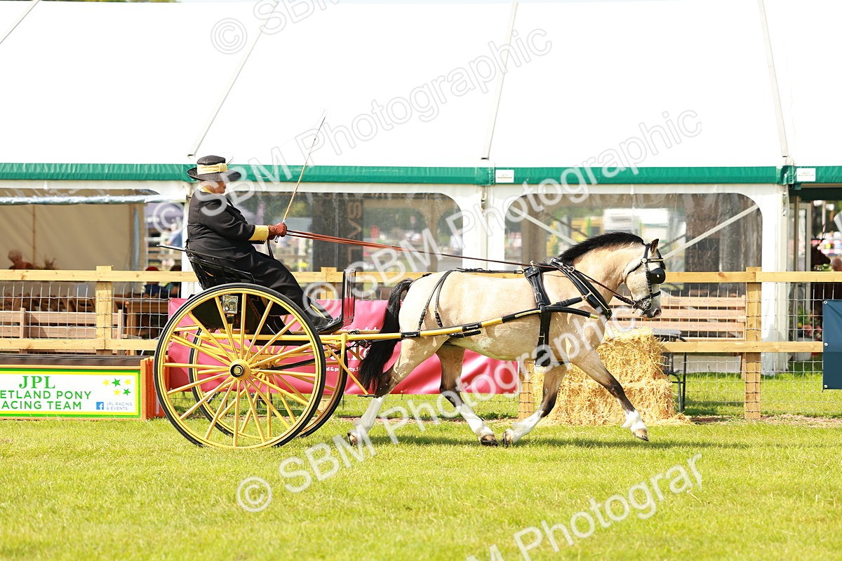 SBM_02569 - Class 2-4 - HOYS Private Driving