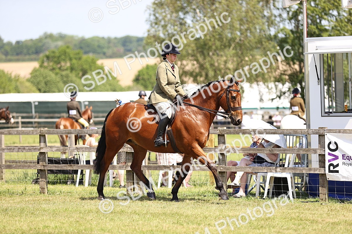SBM_15042 - Class 79-80 - LIHS BSHA Rising Star Ridden Hunter