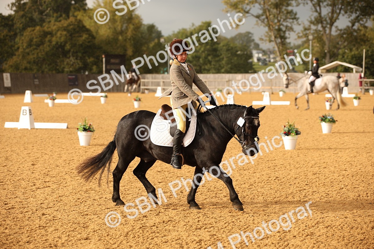 SBM_12363 - D3 Small  Tour Championship Intro A