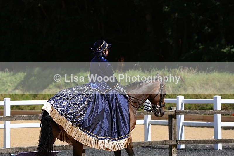 1X9A9000 - Class 24: Ridden Concours D'Elegance