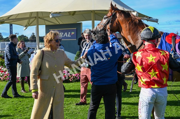 141023-Race 3-Montassib-8909 - Race 3 2.25pm Coral Sprint Trophy Handicap