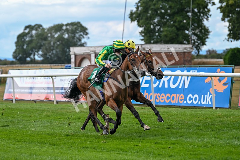 290825-Race 2-Brigids Well-8368 - Race 2