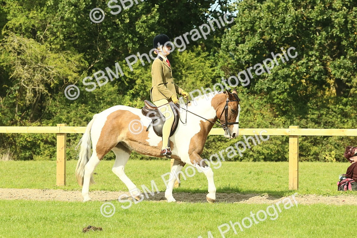 SBM_67436 - S56 - Coloured Pony Ridden