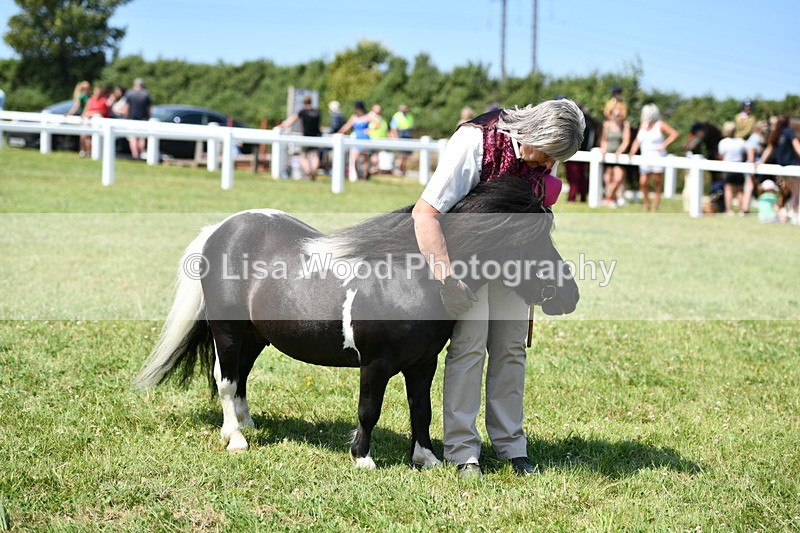 DSC_7800 - Class 64: Coloured Pony 4yrs & over