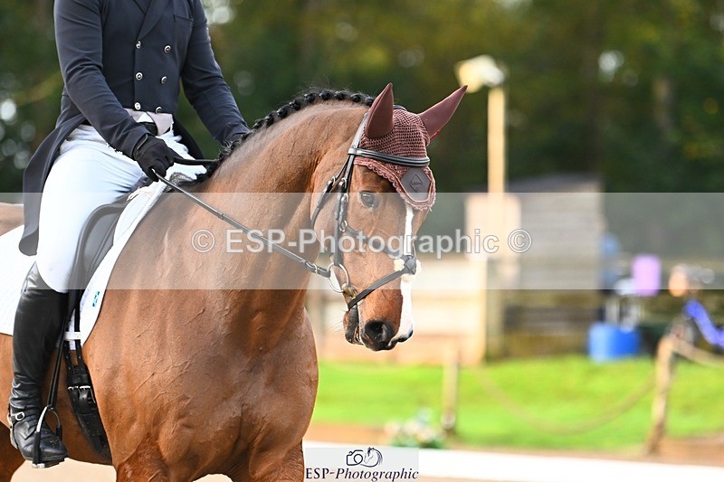 231021-085810-12723 - 321-MAN.ABOUT.TOWN.II-David.Doel-DR