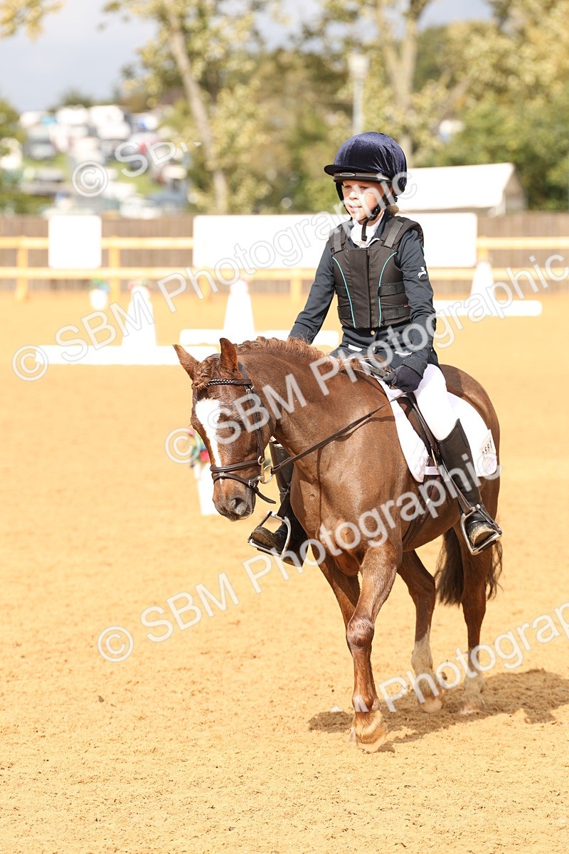 SBM_44183 - D6 - Small Tour Championship Intro 4
