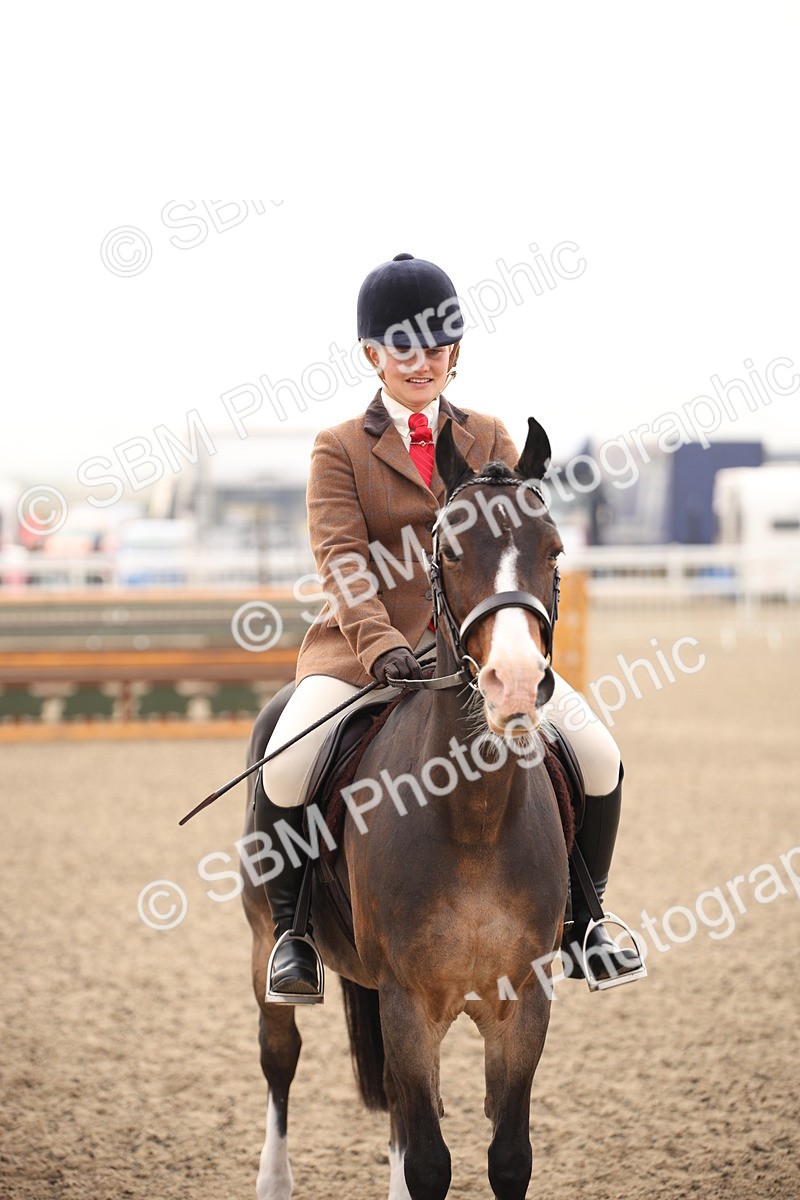 SBM_09791 - Class 401 Riding Club Pony