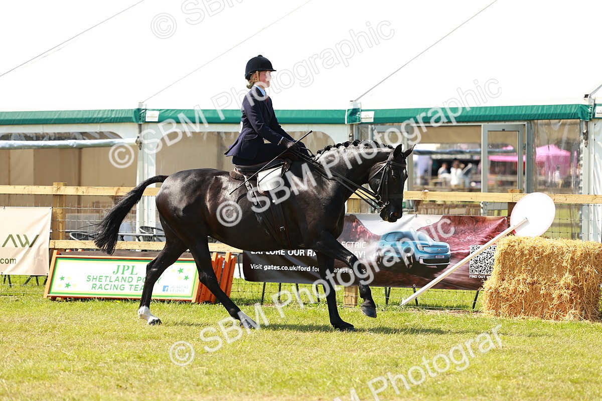 SBM_13341 - Class 70-71 - Side Saddle
