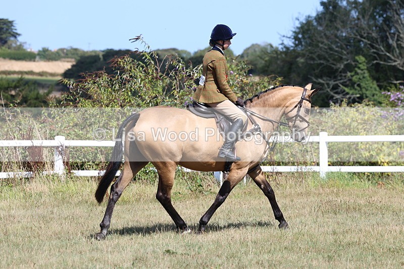3E7A6347 - Working Hunter Championship