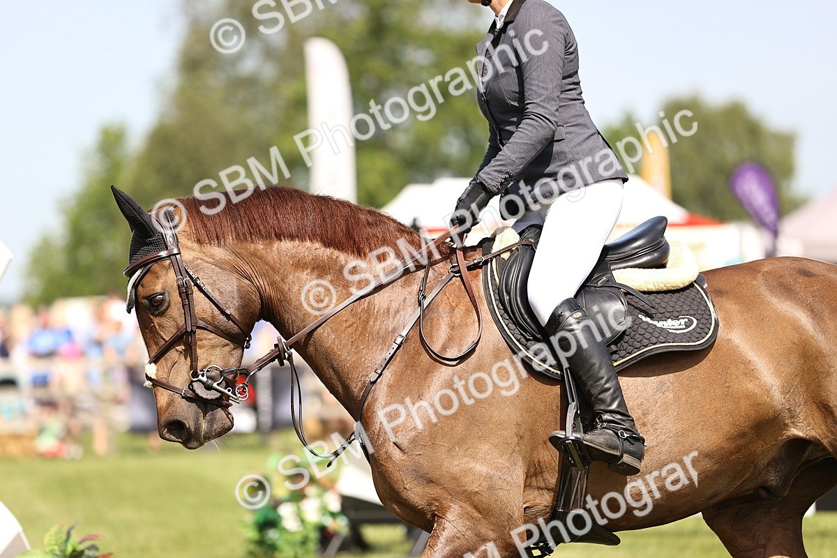 SBM_03182 - Class 201 - British Horse Feedds Speedi Beet HOYS Grade C