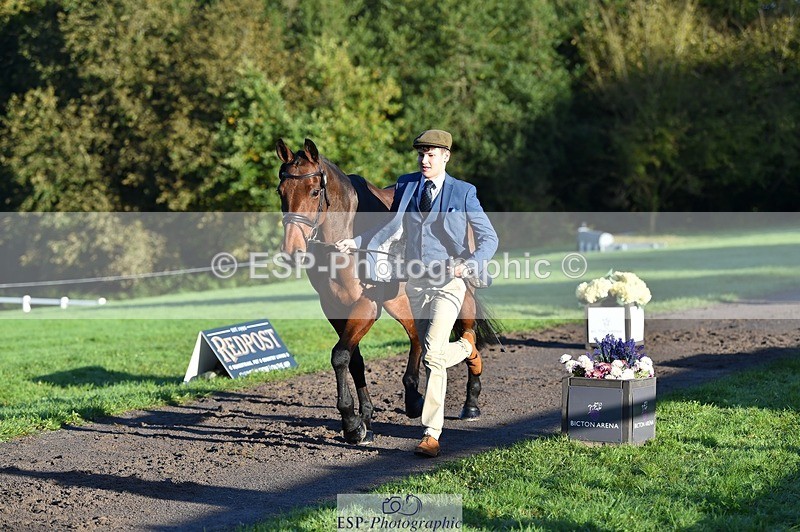 231022-091146-21607 - 609-WHAT.A.WONDER-Harry.Robinson-TrotUp+SJ