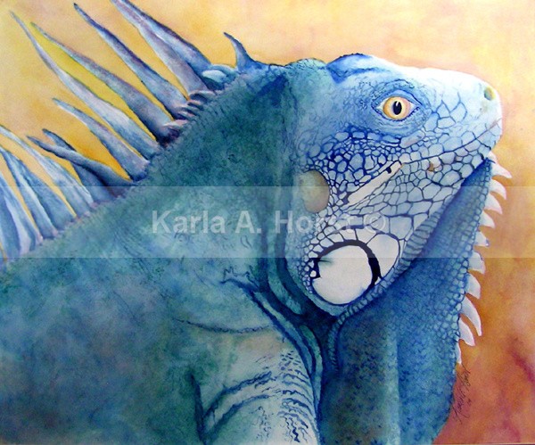 Lizard - An Iguana - Original Art