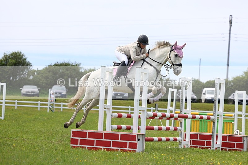 3E7A1654 - Class 13: Senior British Novice/90cm open