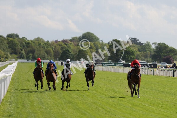 yr11052022r4-25 - Race 4 3.35pm Tattersalls Musidora Stakes