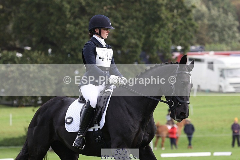 231019-103240-02351 - 414-LAMBORO.SPARKY-Lucy.Jowett-DR