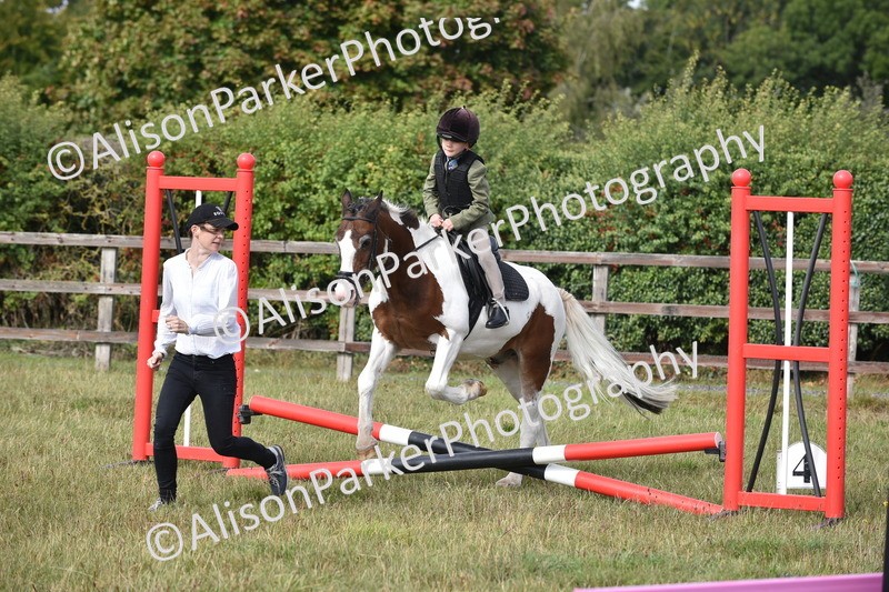 20250831-0482 - Class 7 - Absolute Novice 35cm