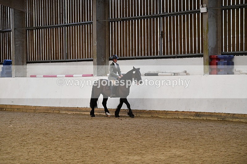 WJ5_7692 - Class 13 Ridden Part Breed