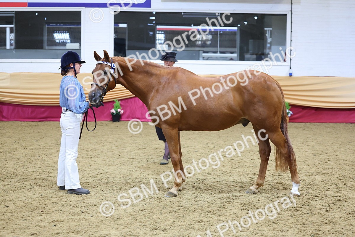 SBM_21046 - Class 902 - Supreme Final IH Veteran