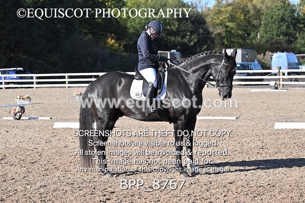 BPP_8767 - LONG ARENA