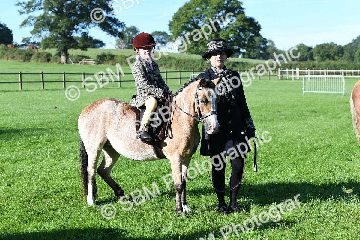 SBM_35390 - S17 - Condition & Turnout - Lead Rein