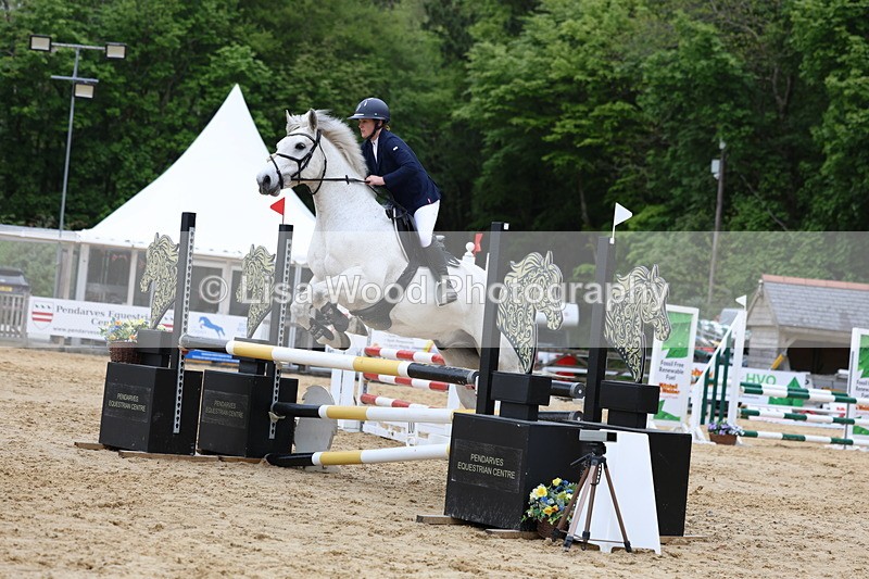 3E7A6362 - Class 4: Senior British Novice/90cm open