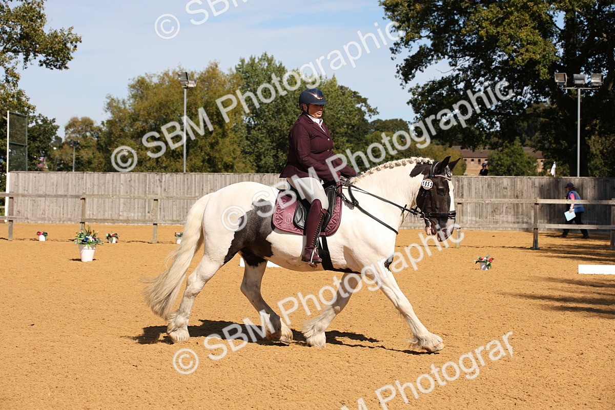 SBM_21659 - D5 - Small Tour Championship - Intro C