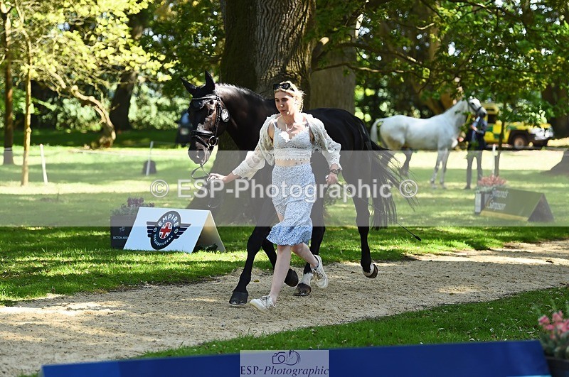 230524-153312-00347 - 358-EQUADOR_MW-Toots_Bartlett-WEDTrotUp+DR