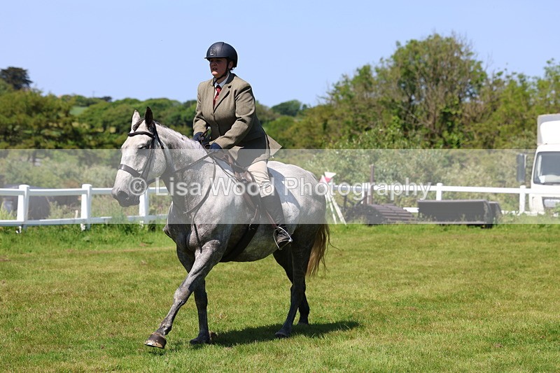 3E7A8386 - Class 13: Ridden Hunter
