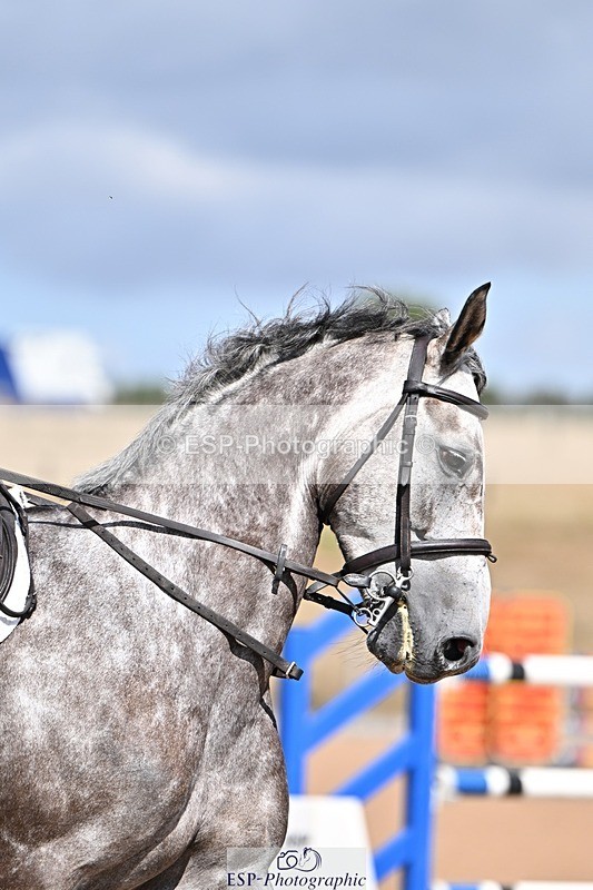 260819-142643-01089 - Cls 6 Foxhunter and 1.20m