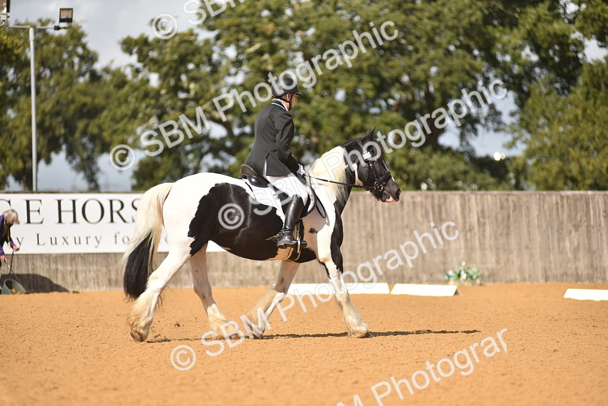 SBM_03375 - D4 - Small Tour Championship Intro 4