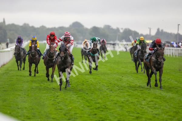 080924-Race 7-Young Fire-4605 - Race 7 5.10pm Elevator Company Amateur Jockeys' Handicap