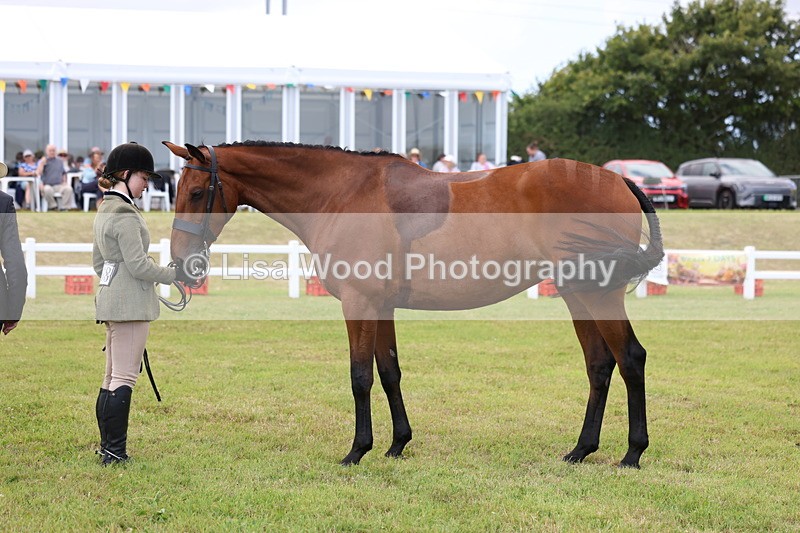 3E7A1753 - Class 9: Open Hunter