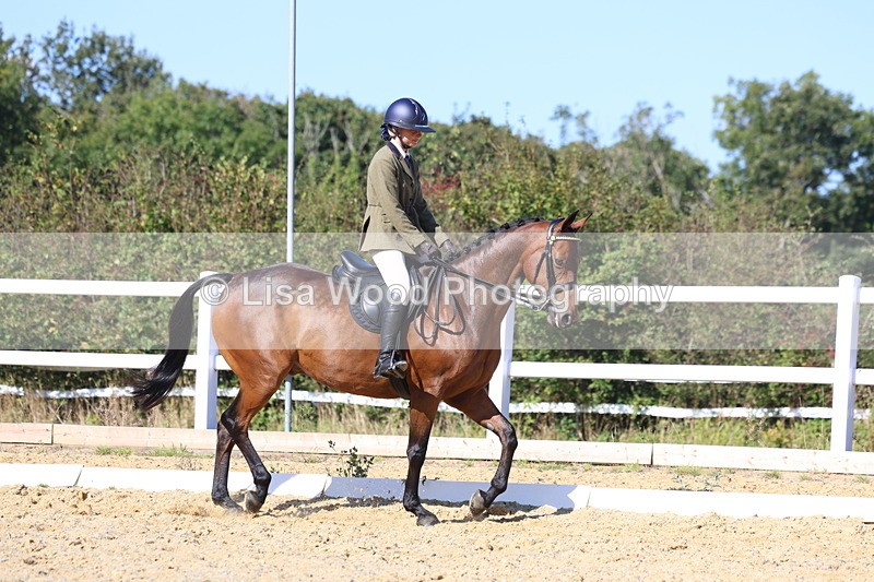 3E7A5678 - Class 10: Riding Horse