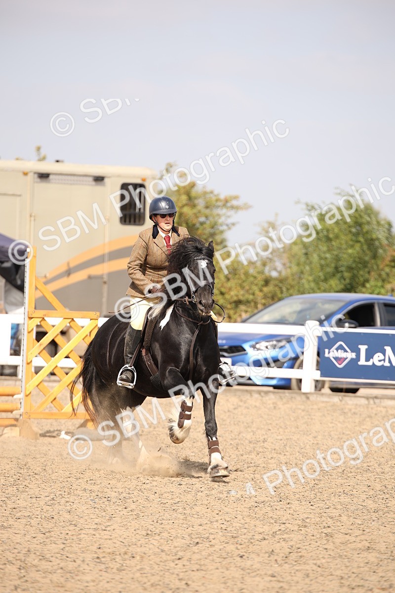 SBM_14218 - Class 407a - Working Veteran 60cm (15-19