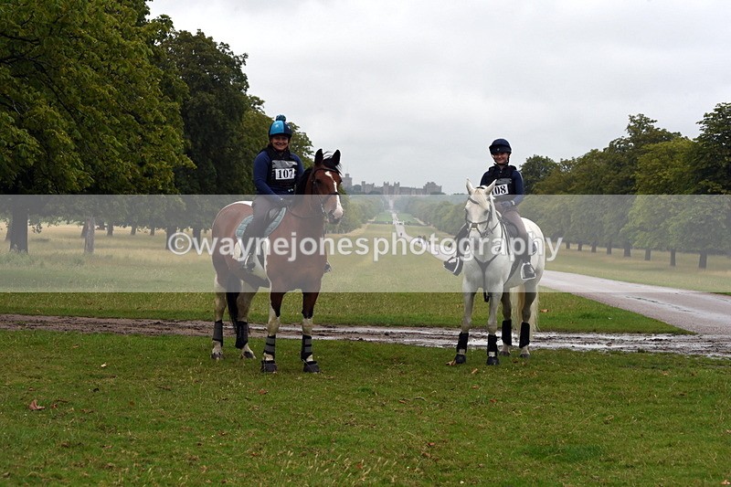 TT3_8132 - Time at Crossing 09:15 to 10:15