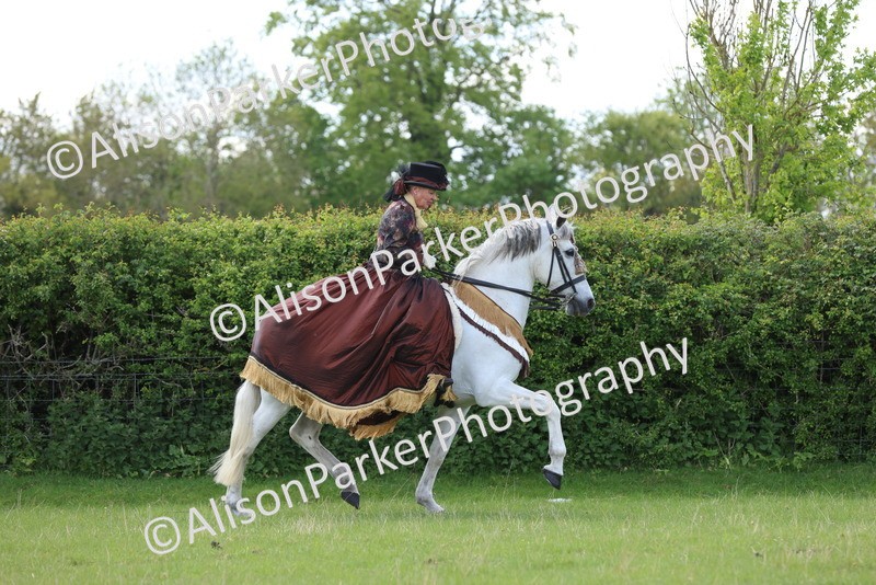 20250427-3895 - Class 22 - Concour's D'Elegance