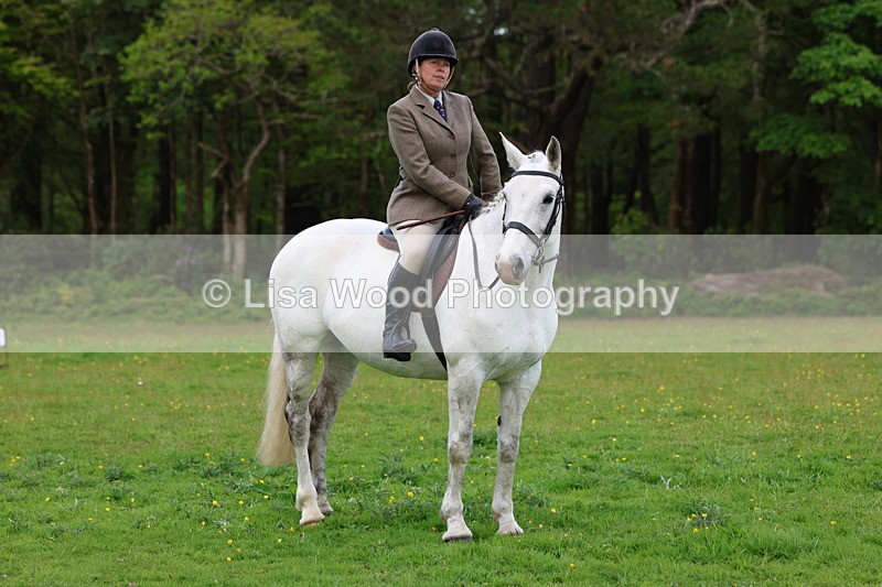 3E7A2594 - Classes 30 and 31: 80cm Working Hunter