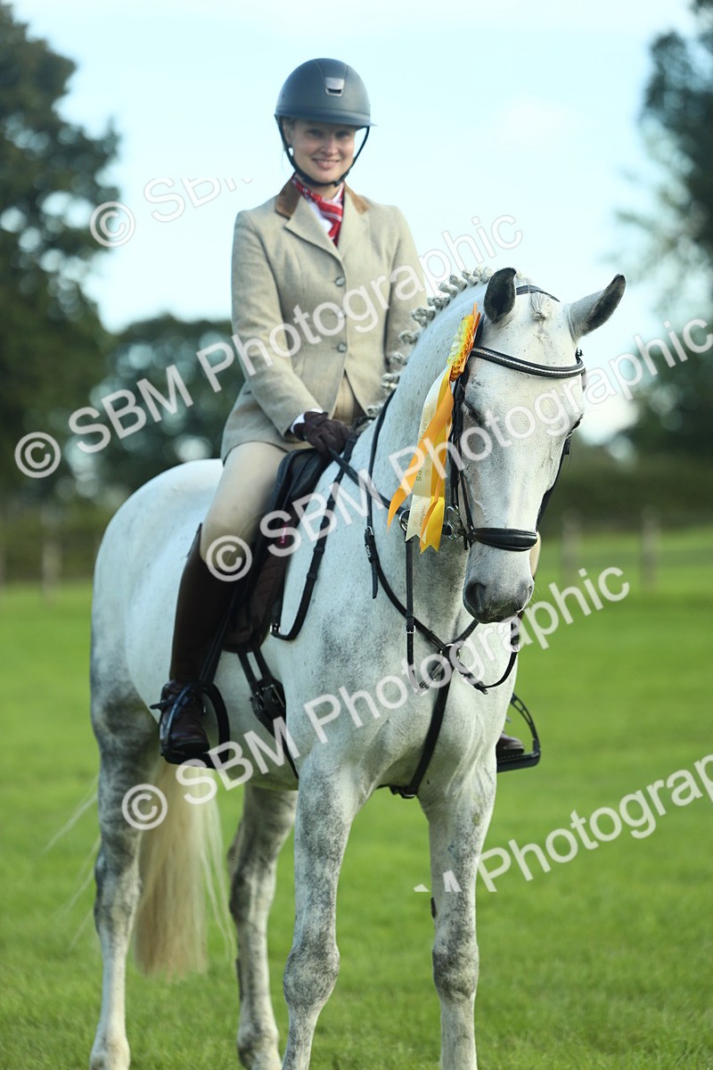 SBM_49953 - S32 - Novice & Newcomers Working Hunter