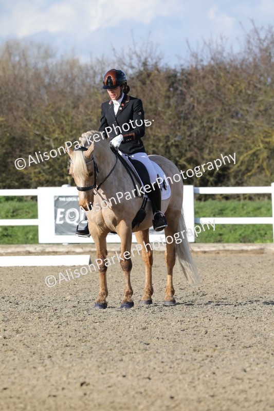 20260314-5820 - DR 7 - Elementary 1