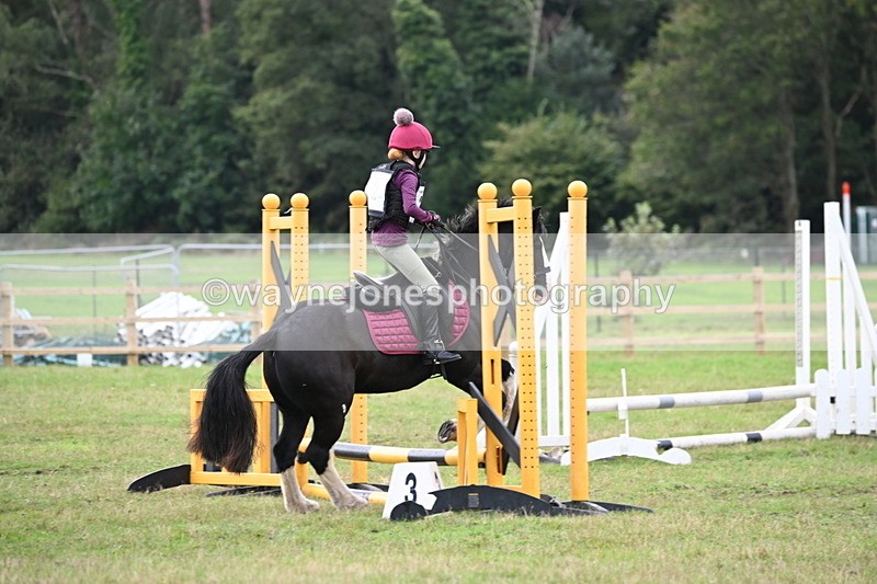 WJ6_0174 - 40cm Time 10:00 to 10:28