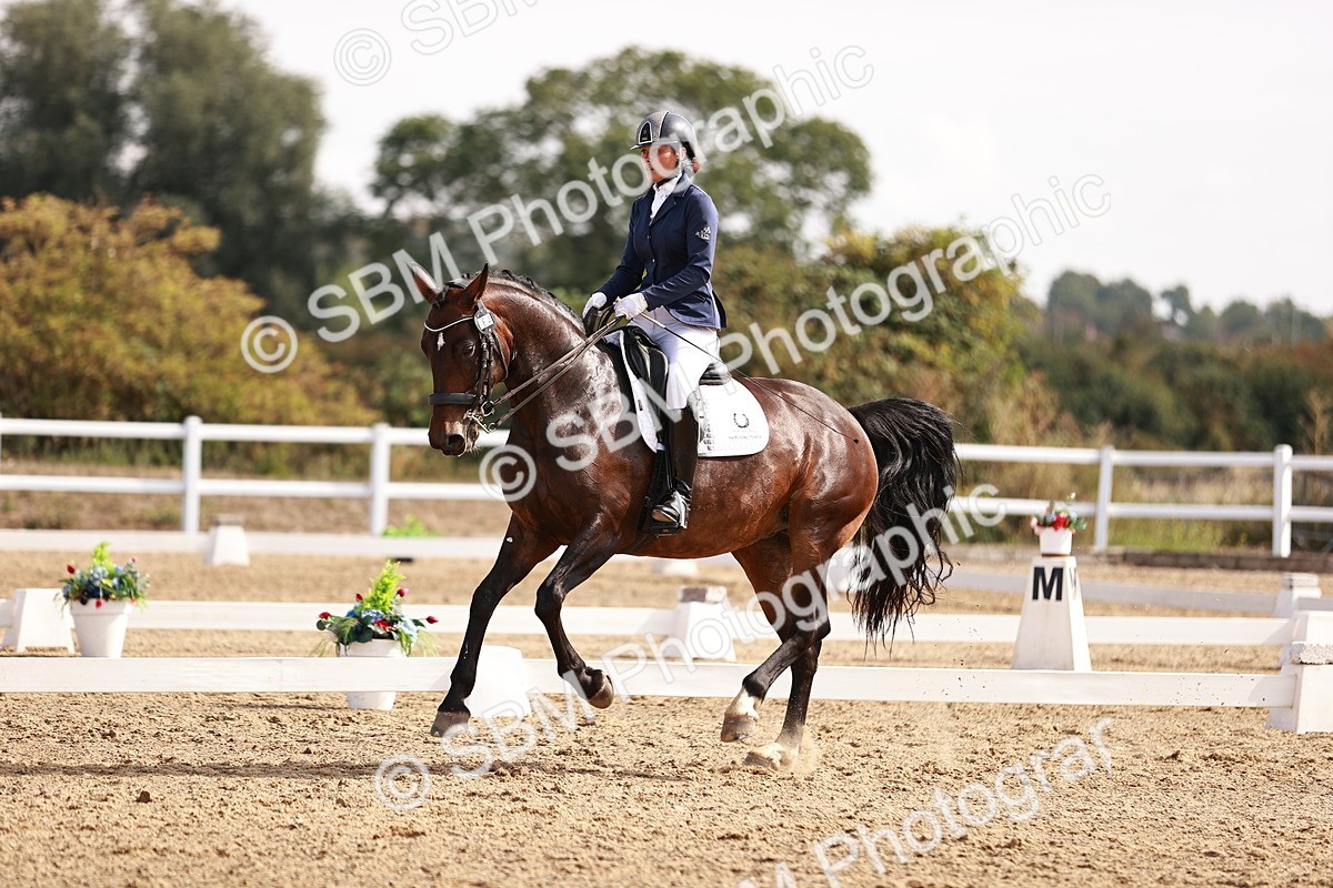 SBM_017576 - Class 11 - Advanced Medium 6