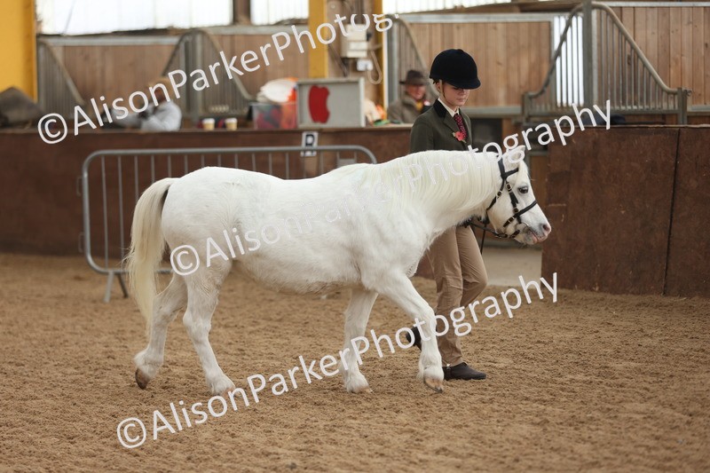 20251109-0544 - Class 21 - Mares 4 Years and over