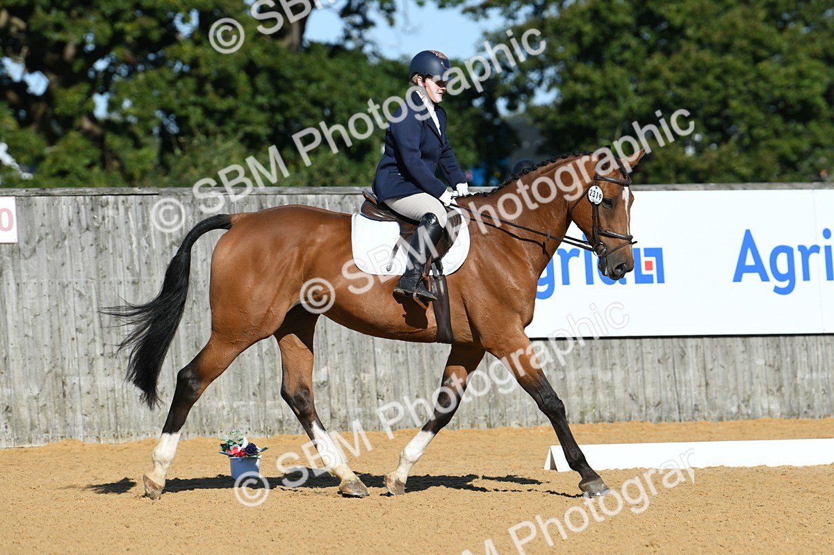 SBM_16210 - D4 - Small Tour Championship - Intro B
