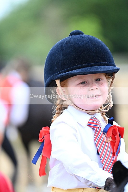 WJ7_8474 - Class 4 Prettiest Mare up to 14.2hh