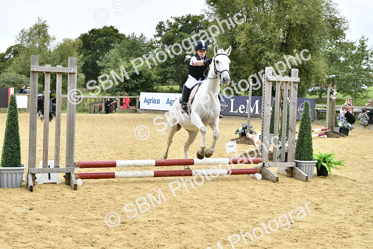 SBM_65421 - J2a mini Tour Junior Pony 30cm Championship