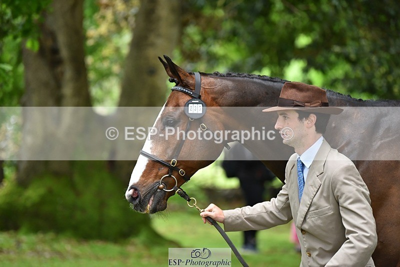 240522-170328-01355_235-GREENHALL_JAY-Henry_Hobby - 078-679-7077